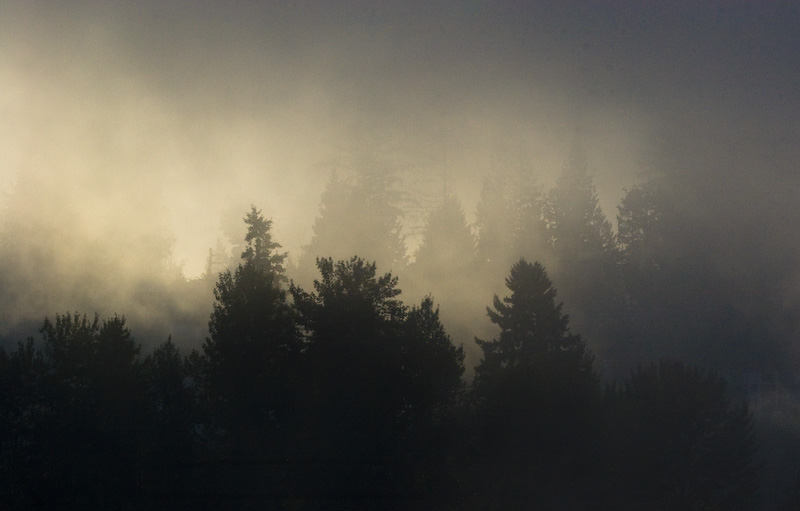 Sun Through Morning Fog